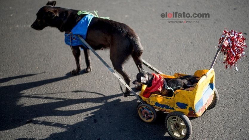 64592422-2ad3-443f-9f3f-5f02242f4ea3