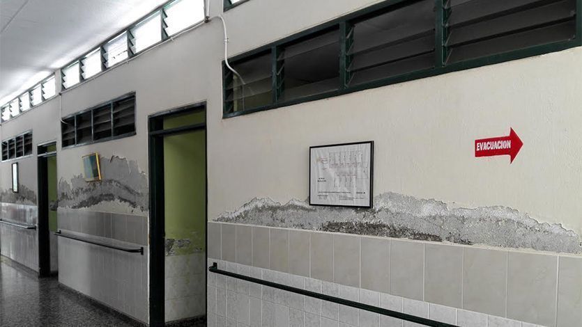 jardin de los abuelos copia